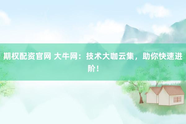 期权配资官网 大牛网：技术大咖云集，助你快速进阶！