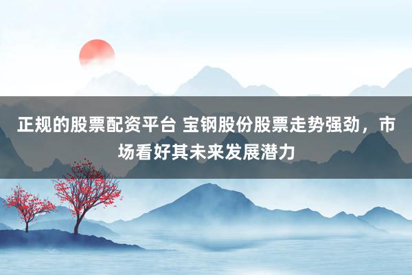 正规的股票配资平台 宝钢股份股票走势强劲，市场看好其未来发展潜力