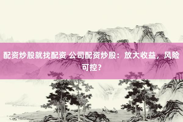 配资炒股就找配资 公司配资炒股：放大收益，风险可控？