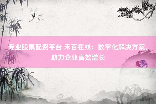 专业股票配资平台 禾百在线：数字化解决方案，助力企业高效增长