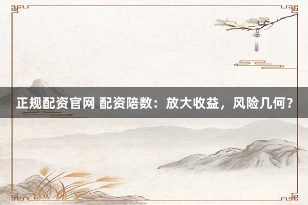 正规配资官网 配资陪数：放大收益，风险几何？