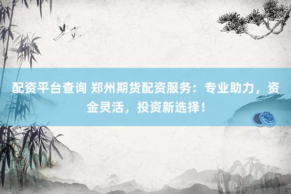 配资平台查询 郑州期货配资服务：专业助力，资金灵活，投资新选择！